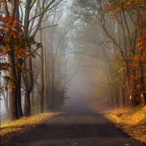 Meet your Posher, Linda - Picture 1 of 1